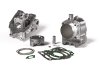 (image for) Malossi 275cc Cylinder Kit and Head for Vespa, Piaggio 250