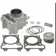 (image for) Cylinder Kit for Honda SH 150