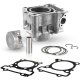 (image for) Cylinder Kit for Yamaha X-Max CZD300