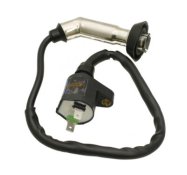 (image for) Ignition Coil for Honda Helix