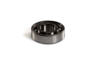 (image for) Roller Bearing with Balls 20x42x12 (STD)