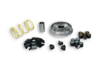 (image for) Malossi Variator for Honda PCX 125 and 150