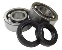 (image for) Crankshaft Bearings and Seals for Kymco 2 Stroke Scooters