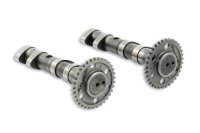 (image for) Malossi Racing Cams for Yamaha T-Max 500