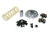 (image for) Malossi Variator for Kymco People 300, MXU 250, 300