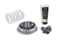 (image for) Malossi Variator for Peugeot 400 5116679