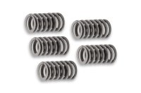 (image for) Reinforced Spring Set for Clutch