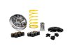 (image for) Malossi Variator 5119760