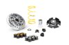 (image for) Malossi Variator 5119873
