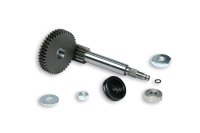 (image for) Malossi Primary Gears Kit (Third Support) 14/42