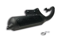 (image for) Exhaust Sys. Wild Lion Homologated