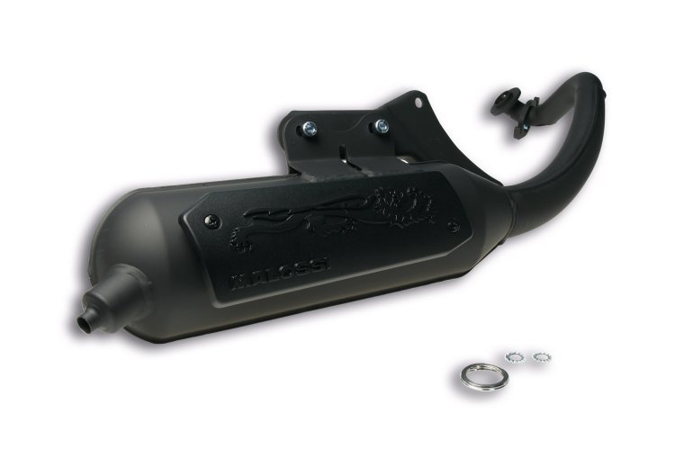 (image for) Exhaust Sys. Wild Lion Homologated