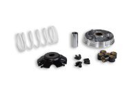 (image for) Malossi Variator 5111364
