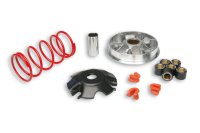 (image for) Malossi Variator for Yamaha D'Elight 115