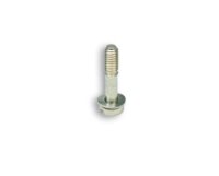 (image for) 11837 Screw
