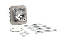 (image for) Malossi Racing Cylinder Head for Honda AF05E