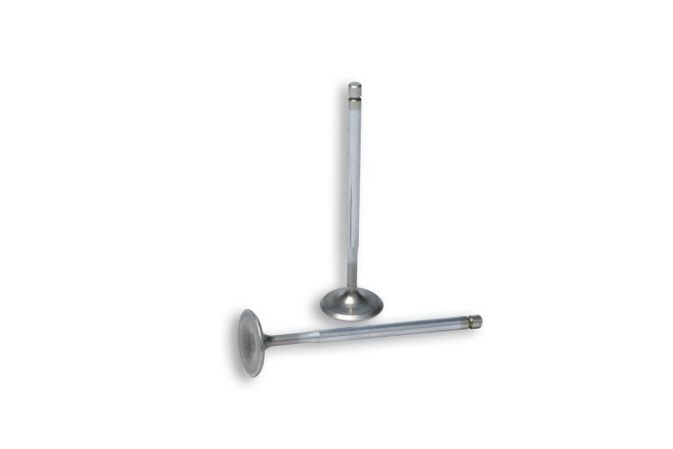 (image for) Malossi Intake Valves for Malossi V4 head