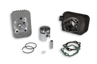 (image for) Cast-I-Cylind Kit 43 Pin 10 Base+CVF