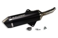 (image for) Exhaust Sys.Maxi Wild Lion