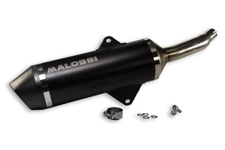 (image for) Exhaust Sys.Maxi Wild Lion