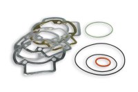 (image for) Malossi Cylinder Gasket Kit for 3113042