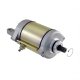 (image for) Starter Motor for Kymco Downtown, People GTi 300 and 350 31210-LEA7-E00