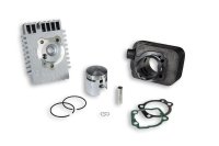 (image for) Cast-I-Cylinder Kit 46,5 Pin 10