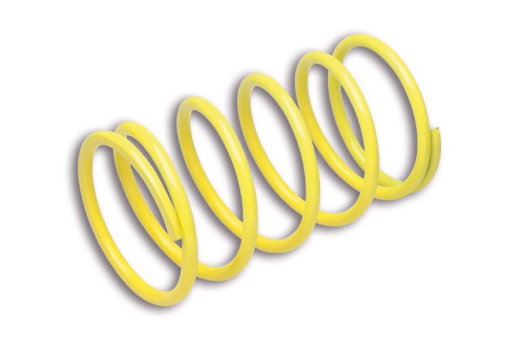 (image for) Malossi Contra Clutch Spring for Honda Helix 250