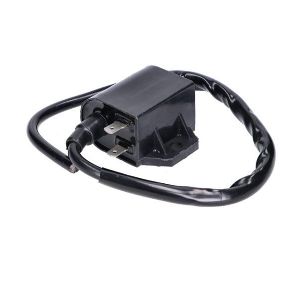 (image for) CDI and Coil for TGB Scooters OLD Version