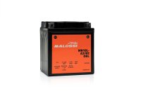 (image for) Malossi Gel Battery MB10L-A2/B2 GEL