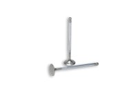 (image for) Malossi Exhaust Valves for Malossi V4 Head