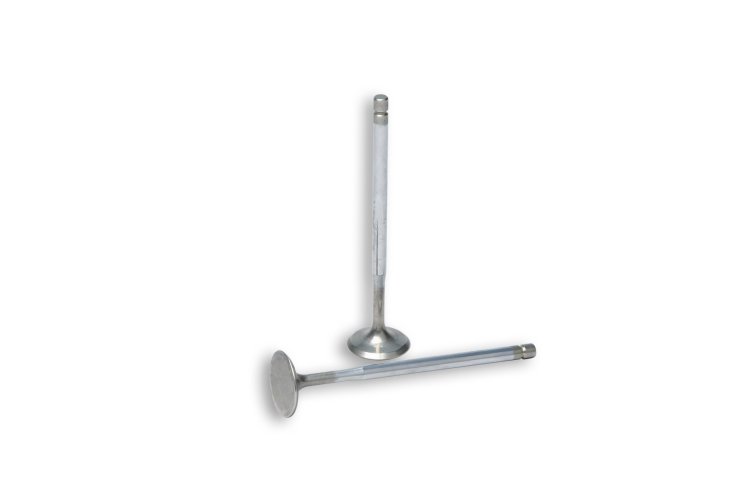 (image for) Malossi Exhaust Valves for Malossi V4 Head