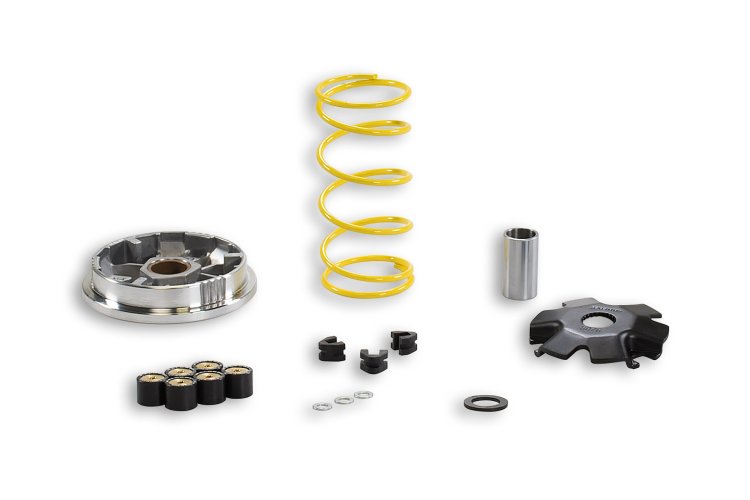 (image for) Malossi Variator 5112024
