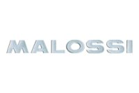 (image for) Sticker Malossi - 3D - Silver - 21 cm