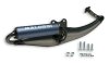 (image for) Malossi Racing Exhaust for Piaggio LT50, Typhoon 2 Stroke