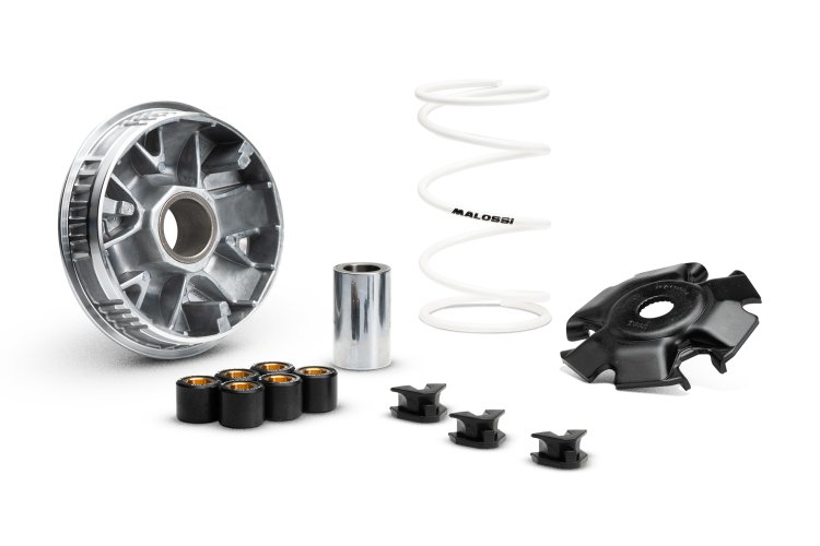 (image for) Malossi Variator for Vespa GTS 310