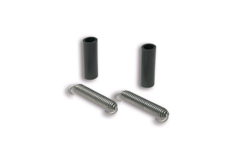 (image for) 2 Springs /Rubbers for Maxi Wild Lion