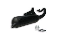 (image for) Exhaust Sys. Wild Lion Homologated