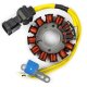 (image for) Stator for Vespa GT200 and GT200L