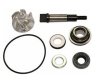 (image for) Water Pump Repair Kit for Honda Forza 300