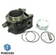 (image for) Cylinder and Piston for Vespa GTS and GTV 250