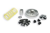 (image for) Malossi Variator for SYM Super Duke 150
