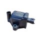 (image for) Ignition Coil 641901