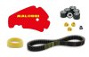 (image for) Malossi Belt and Variator Tuning Kit Piaggio BV200