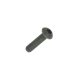 (image for) Screw M5x20 mm, Torx, Steel,