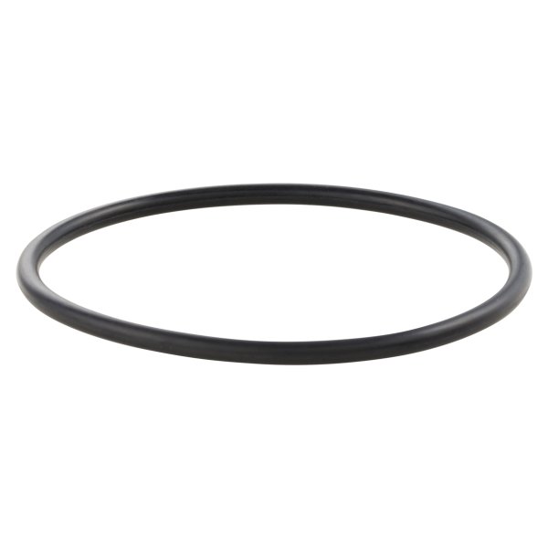 (image for) Variator O-Ring for GT 200 Variator