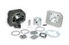 (image for) Malossi 70cc Cylinder Kit for TGB Scooters 318723
