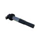 (image for) Ignition Coil 12138523968