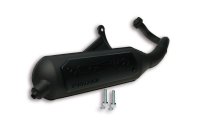 (image for) Exhaust Sys. Wild Lion Homologated