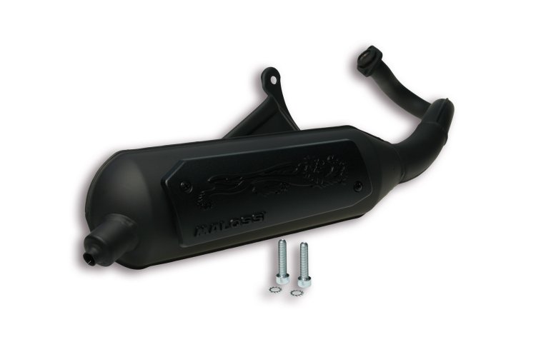 (image for) Exhaust Sys. Wild Lion Homologated